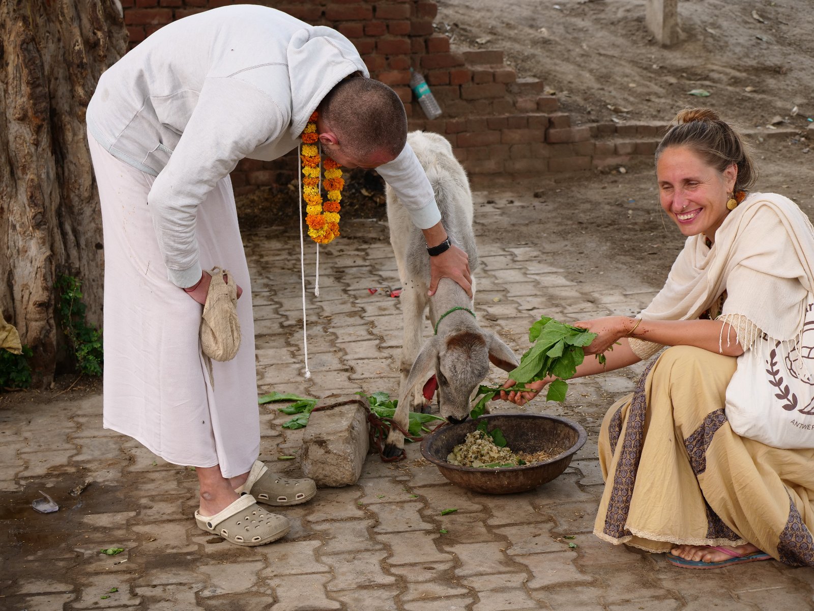  31 Gopashtami Radha kunda Govardhan 19.11.04